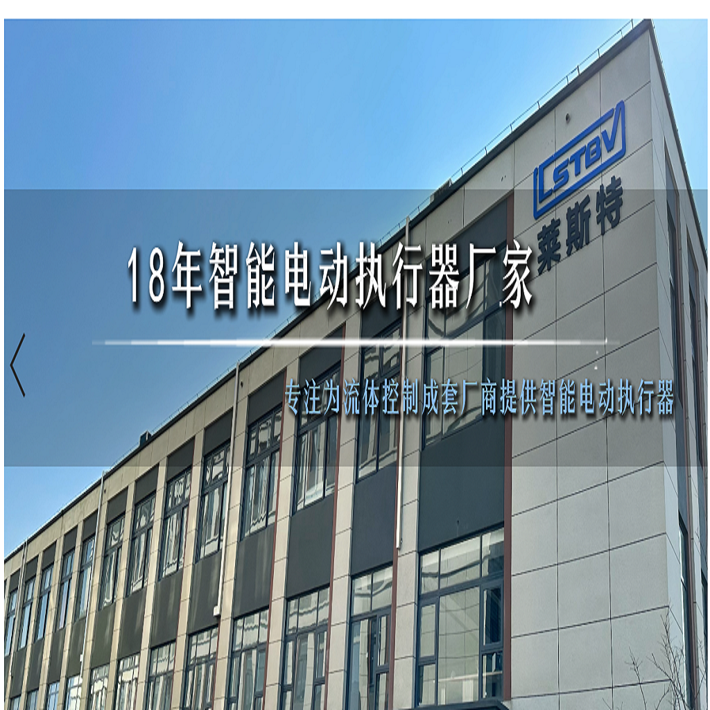 江蘇萊斯特測控（kòng）技術有（yǒu）限公司歡（huān）迎您